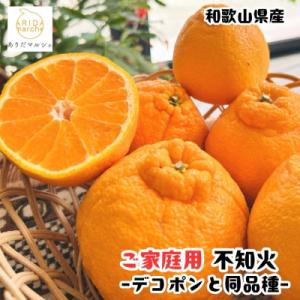 ≪先行予約 2027年1月末～発送≫有田育ちの濃厚不知火(ご家庭用) 2.5kg