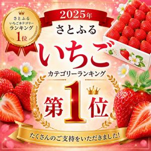 ふるさと納税 宇美町 ★いちごランキング1位★...の詳細画像1