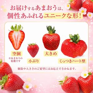ふるさと納税 宇美町 ★いちごランキング1位★...の詳細画像2
