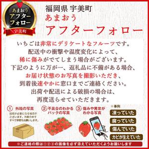 ふるさと納税 宇美町 ★いちごランキング1位★...の詳細画像3