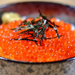 ふるさと納税 いくら 留萌市 鱒いくら醤油漬け...の詳細画像2