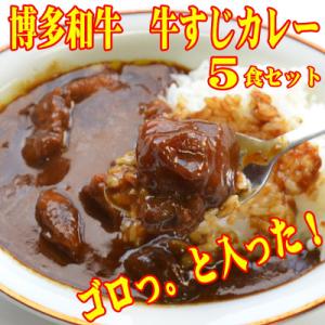 【博多和牛】ゴロッ!と入ったコラーゲン牛すじカレー5食セット　常温長期保存可能なのに本格派のカレー