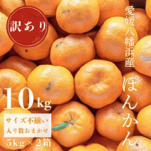 【南国を感じさせる独特の香り】訳あり 愛媛ポンカン 10kg【C20-13】