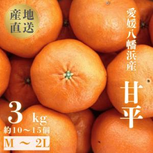 ＼ 愛媛が誇る 高級みかん 希少品種 / 甘平 (かんぺい) 3kg 【D20-5】