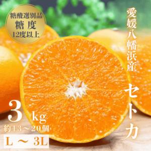 ＼みかんの大トロ/糖度12.0以上 酸1.4以下 糖酸選別品 愛媛セトカ 3kg【D20-7】