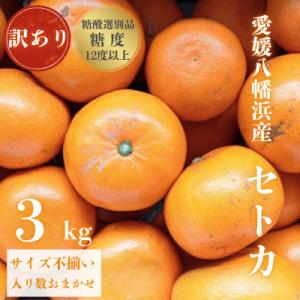 アイテムID:359620の画像1枚目