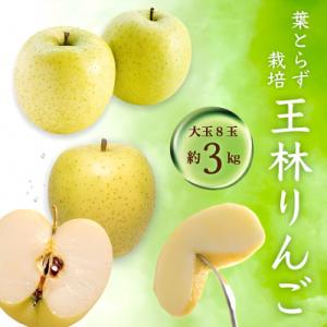 ふるさと納税 藤崎町 王林 大玉  8個入り(約3kg) ご家庭用 青森りんご