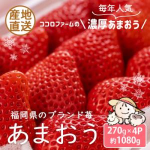 【先行受付 2026年12月発送開始】こだわりの濃厚あまおう約270g×4パック【産地直送】