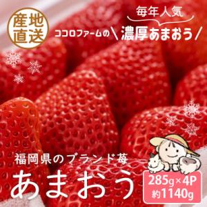 ふるさと納税 豊前市 【2024年12月発送開始】こだわりの濃厚あまおう約285g×4パック【産地直...