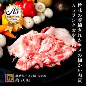 ふるさと納税 小山市 おやま和牛 A5 極 スジ肉 約700g