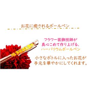 ふるさと納税 寝屋川市 【ミナコポブランド】貼...の詳細画像3