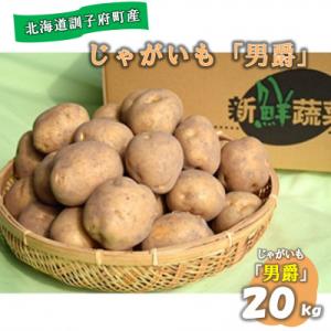 【先行受付　9月中旬以降発送】佐藤農場のじゃがいも「男爵」20kg