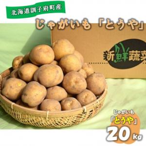 【先行受付　9月中旬以降発送】佐藤農場のじゃがいも「とうや」20kg