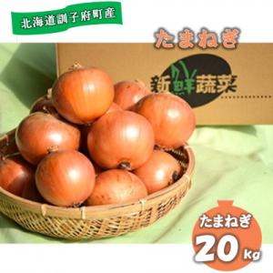 【先行受付　9月中旬以降発送】佐藤農場の玉葱20kg