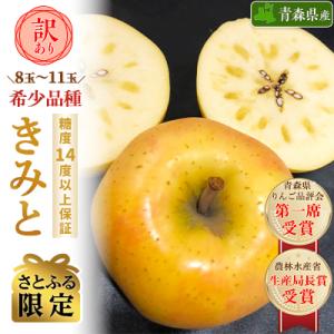 【さとふる限定】【希少品種】「きみと」約3kg・糖度14度以上保証・訳あり家庭用りんご
