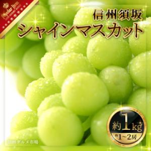 ふるさと納税 須坂市 【2024年発送】【信州須坂】　人気のシャインマスカット 約1kg　信州グルメ市場厳選