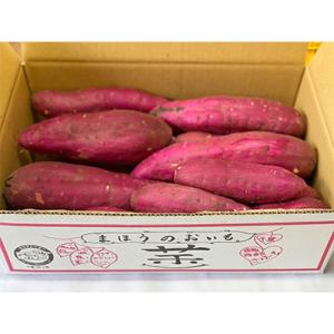 ふるさと納税 香取市 【訳あり】香取市産 さつ...の詳細画像2
