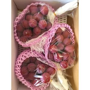 クインニーナ　特秀 約1.8kg