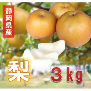【先行予約】2026年8月から発送　静岡県産　梨　3kg