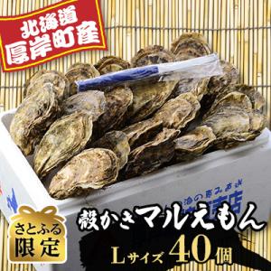 ふるさと納税 厚岸町 厚岸産マルえもんLサイズ　40個セット