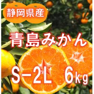 【2026年12月下旬から発送】静岡県産　青島みかん S～2L 6kg