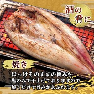 ふるさと納税 稚内市 脂のり抜群 稚内産 ほっ...の詳細画像1