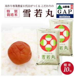 ふるさと納税 酒田市 山形県酒田市　雪若丸10kg精米　令和6年産　農家直送