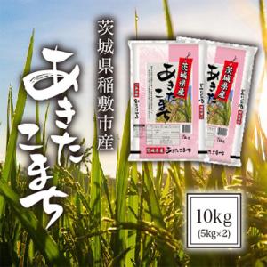 ふるさと納税 稲敷市 【令和5年産】茨城県稲敷市産あきたこまち10kg(5kg×2)