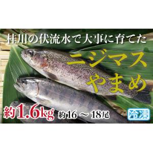 山梨県産　桂川の冷凍やまめ・ニジマスセット　計:約1.6kg(約16～18尾)