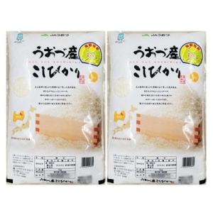 コシヒカリ白米10kg(5kg×2袋)富山県うおづ産