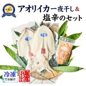 佐渡産 アオリイカ一夜干し&塩辛のセット