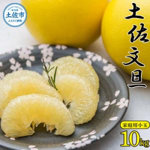ふるさと納税 土佐市 高知県産　土佐文旦　家庭用小玉サイズ約10kg