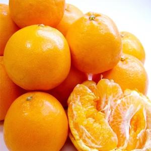 清水のミカン「はるみ」2.5kg