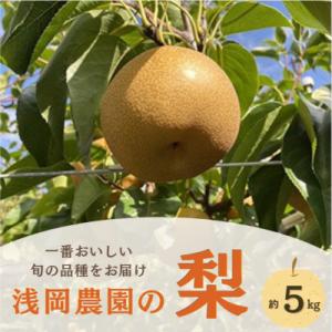 【2026年9月上旬から11月上旬発送】浅岡農園の梨　約5kg
