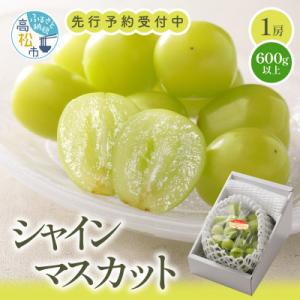 【先行受付2026年】シャインマスカット化粧箱　1房(600g以上)