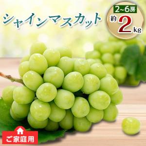 【先行受付2026年】ご家庭用シャインマスカット　約2kg