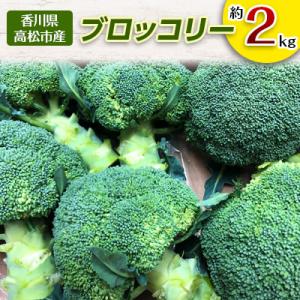 【2026年11月～2027年5月発送】ブロッコリー　約2kg
