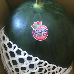 ふるさと納税 益城町 黒小玉スイカ「ひとりじめBonBon」