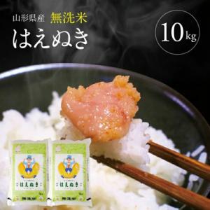【令和7年産】無洗米 はえぬき　5kg×2袋