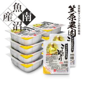 南魚沼産 コシヒカリ パックごはん 150g×12個