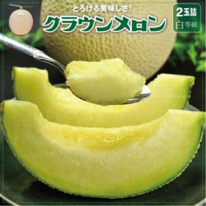 【一年中食べられる!】クラウンメロン (白等級) 2玉 2kg ギフト箱入 静岡県 高級マスクメロン