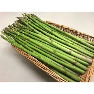 【先行受付2027年】香川県オリジナルアスパラガス「さぬきのめざめロング」(春芽)　約1kg