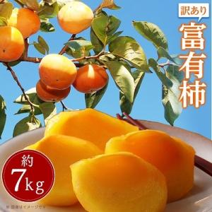 ふるさと納税 高松市 訳あり　富有柿　約7kg