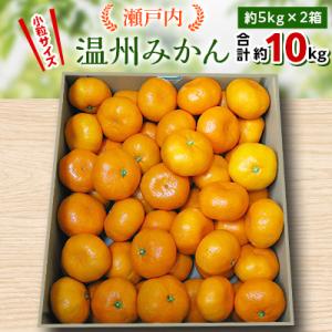 【先行受付2026年】瀬戸内温州みかん　小粒サイズ約10kg【2026年10月～2027年1月発送】