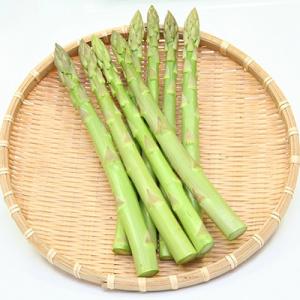 【先行受付2026年】さぬきのめざめ夏芽(サイズ混合)約1.5kg
