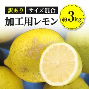 【先行受付2026年】加工用レモン(サイズ混合)　約3kg