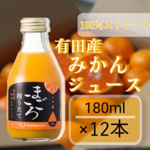 【まごころ】有田みかんジュース100%　180ml　12本