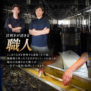 ふるさと納税 鹿屋市 鹿児島県大隅産うなぎ蒲焼...の詳細画像1