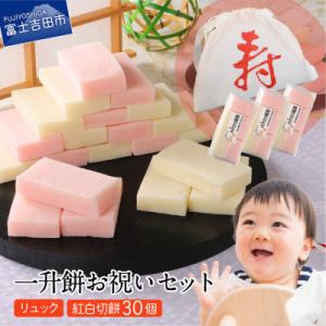 ふるさと納税 富士吉田市 紅白切餅30枚一升餅お祝いセット(リュック付き)