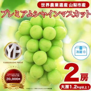 2026年発送 フルーツ王国山梨 シャインマスカット 2房 (1.2kg以上) プレミアム